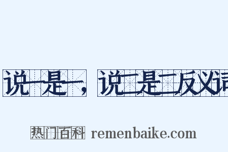 说一是一，说二是二反义词是什么意思的图片